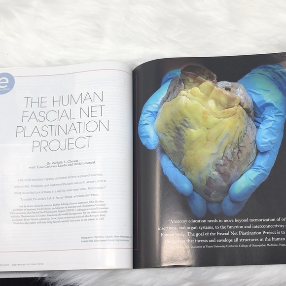 message & bodywork September/October 2018 Research magazine “Explore The Science - Picture 6 of 7